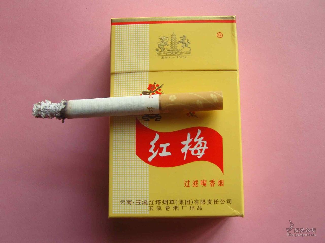 落日的黄昏——红梅硬黄 - 香烟漫谈 - 烟悦网论坛