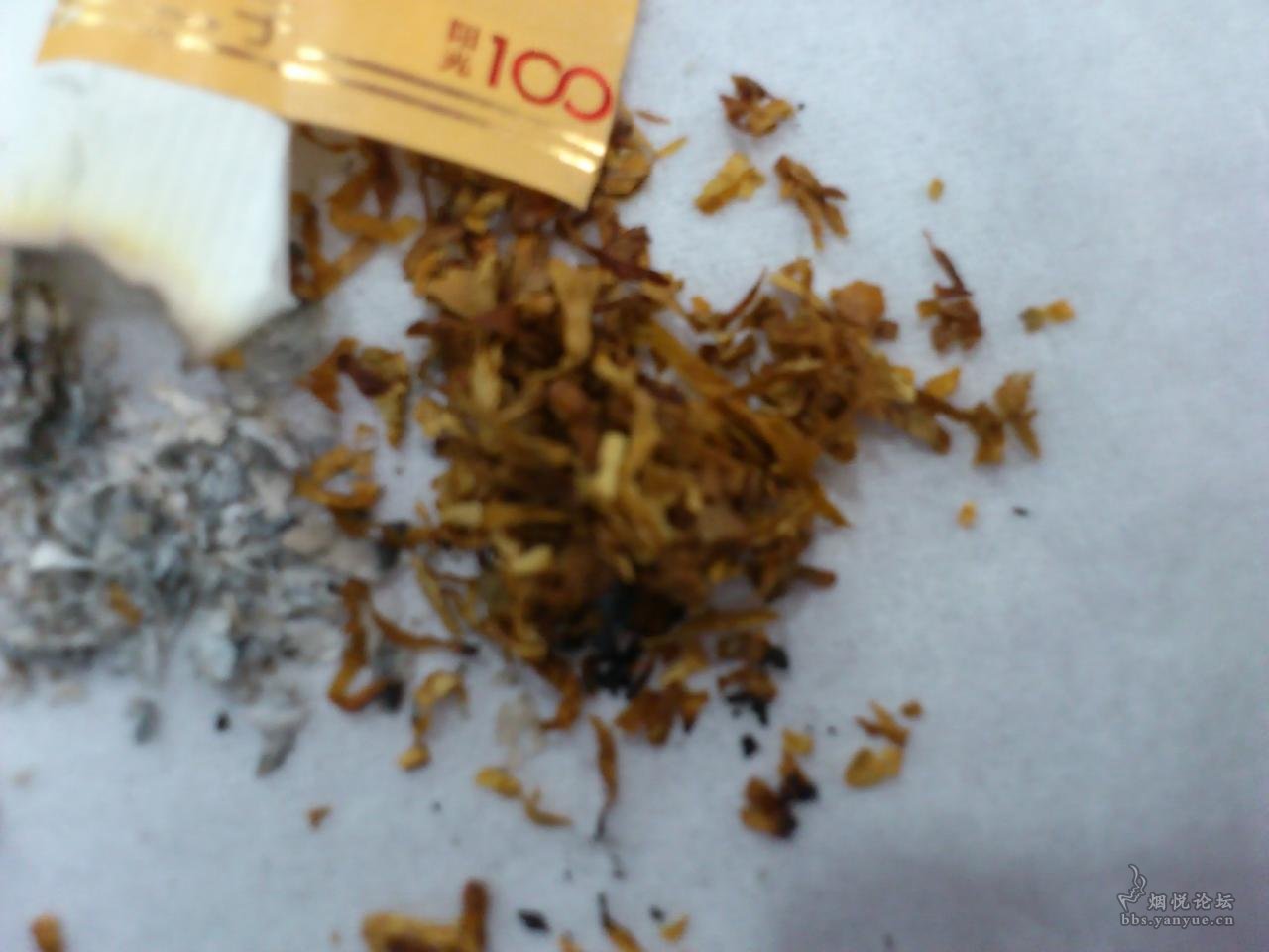 娇子（阳光100） - 香烟漫谈 - 烟悦网论坛