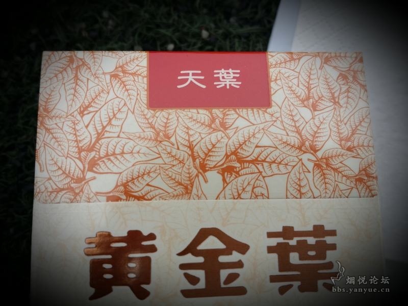 天叶稀少所以弥足珍贵,手捻精神更显崇高敬意 - 香烟漫谈 - 烟悦网论坛