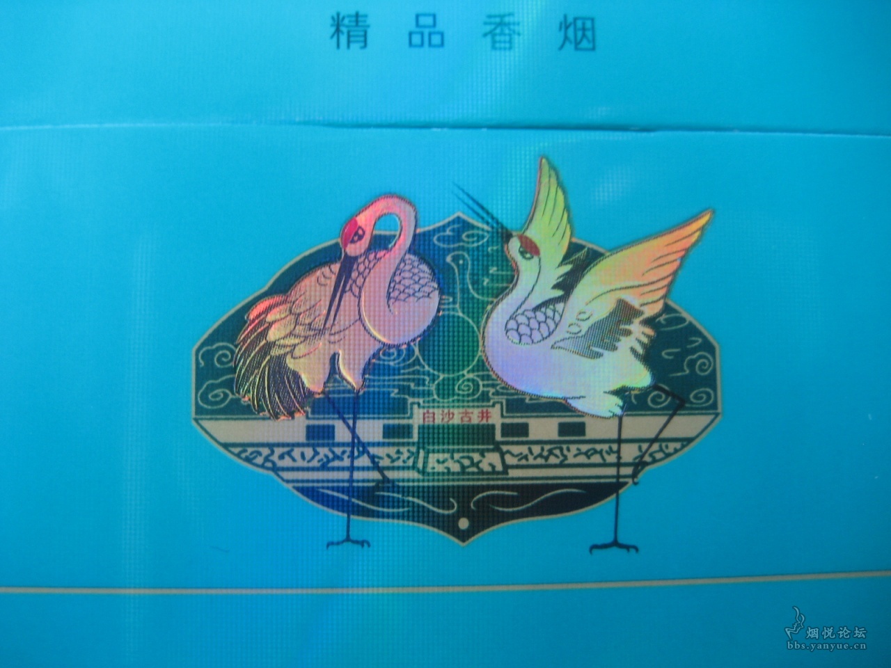 遍地开花绿白沙