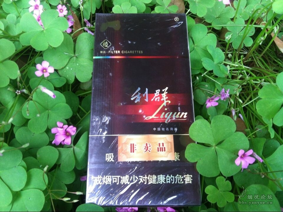 遍嘗天下8只裝利群陽光非賣品