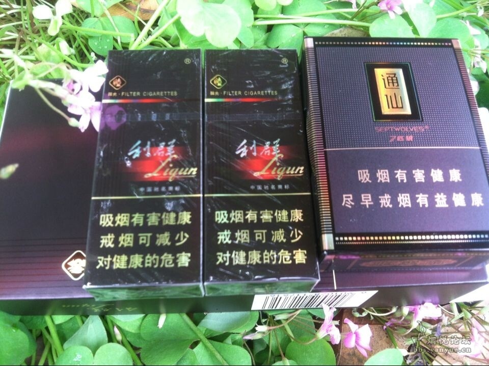 遍嘗天下:8只裝利群(陽光)非賣品 - 香菸漫談 - 煙悅網論壇