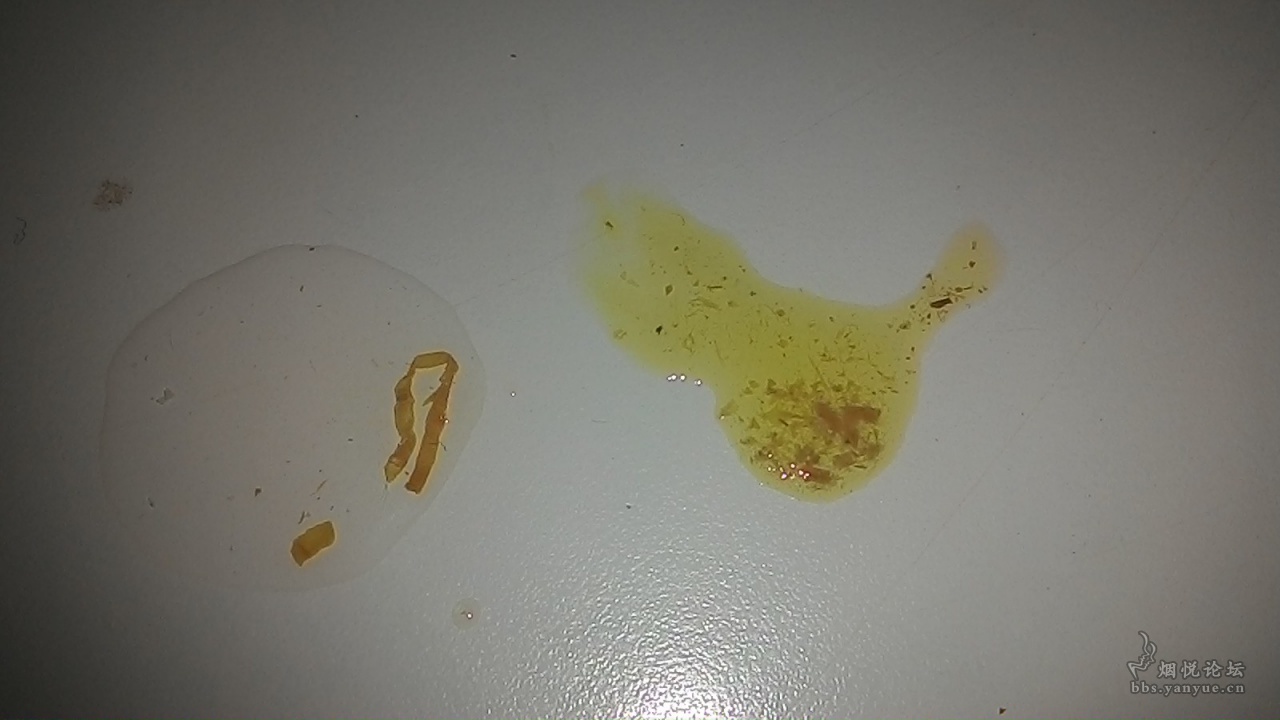 蓝硬盖芙蓉王到底有多少种规格? - 香烟漫谈 - 烟悦网论坛