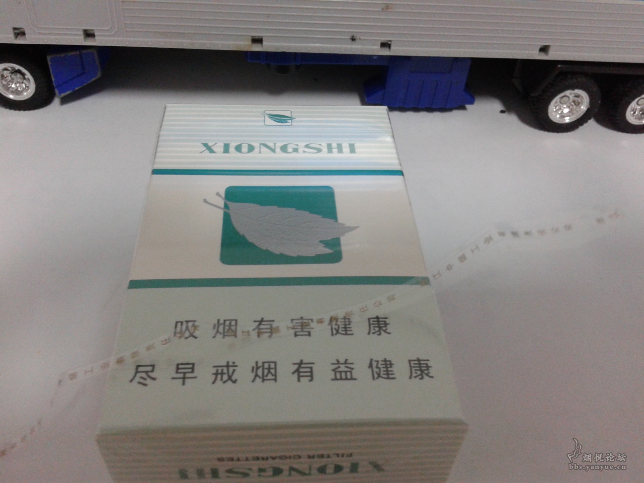 大字版雄狮薄荷