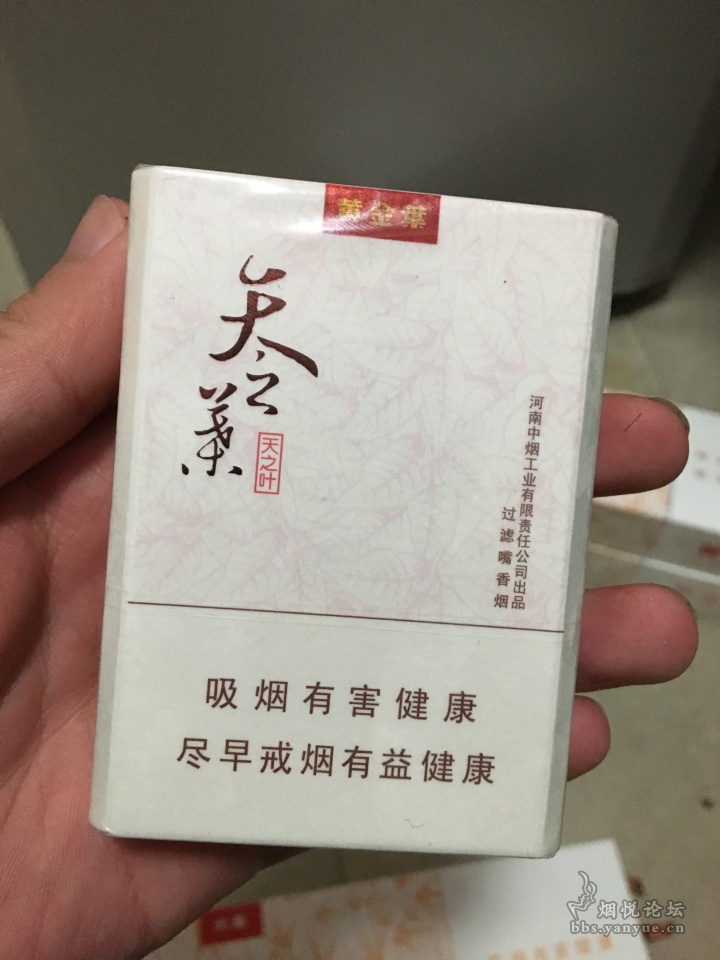 大天叶 天之叶 梦之叶 可以起飞吗? - 香烟漫谈 - 烟悦网论坛