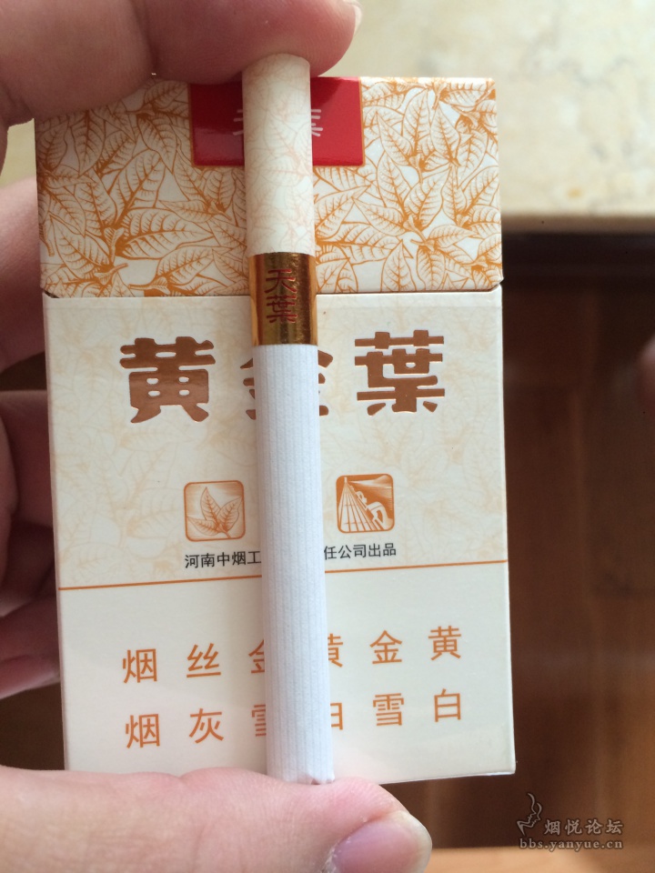 非卖品黄金叶天叶 - 香烟漫谈 - 烟悦网论坛