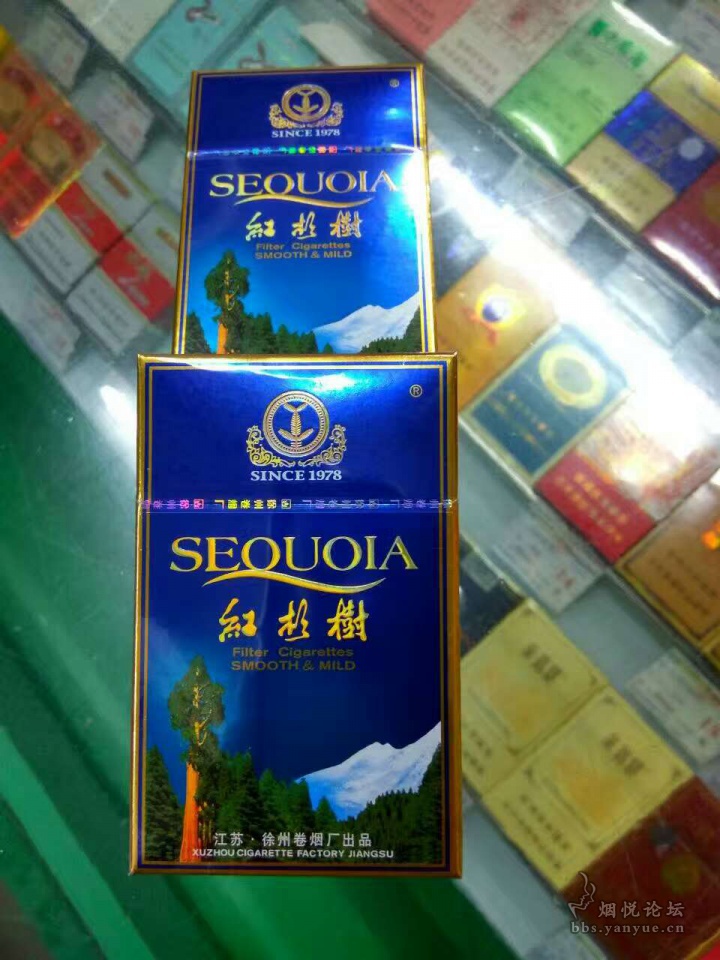 极品红杉树,又称花树