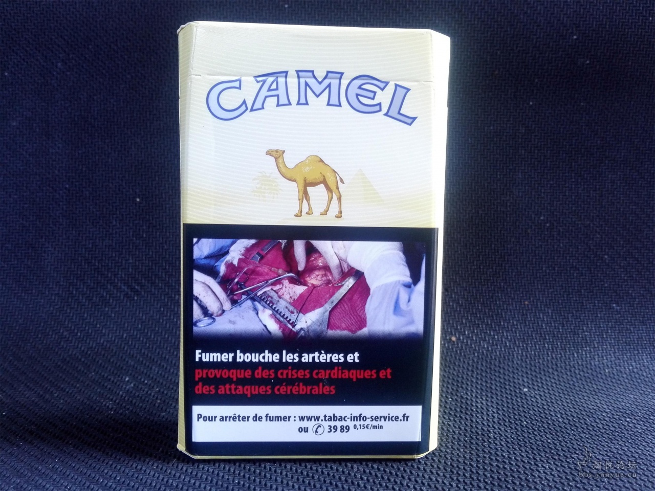 估计是首发——奇怪的骆驼 - 香烟品鉴 - 烟悦网论坛