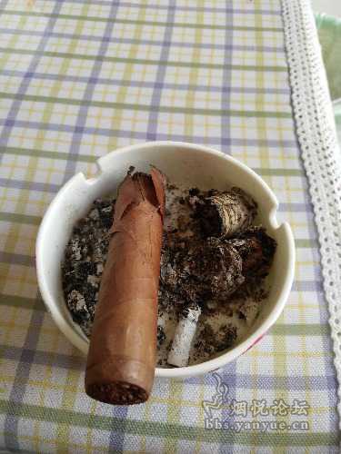 最后一天,品一支西站farm rolled 土炮 - 雪茄交流 - 烟悦网论坛