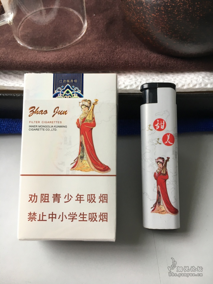 品昭君和亲中支