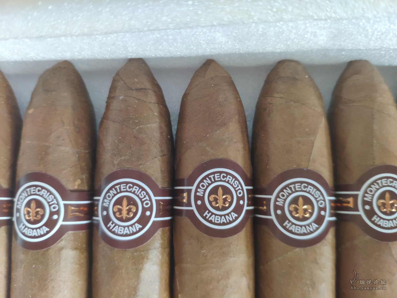 so站蒙2,发霉的厉害,以后叫霉站好了 - 雪茄交流 - 烟悦网论坛