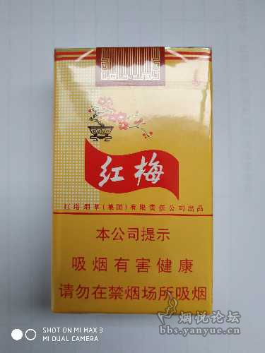 本公司提示版 红梅(软黄)实物烟标