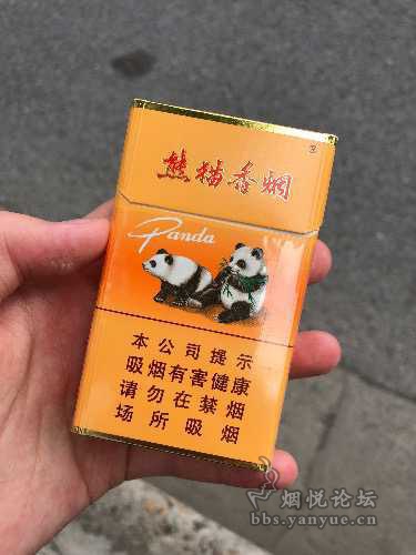 中免黄熊猫图片