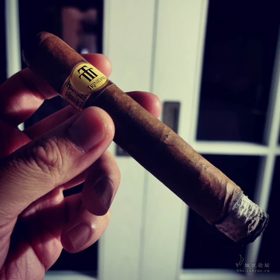 特立尼达翡翠艾斯米拉达