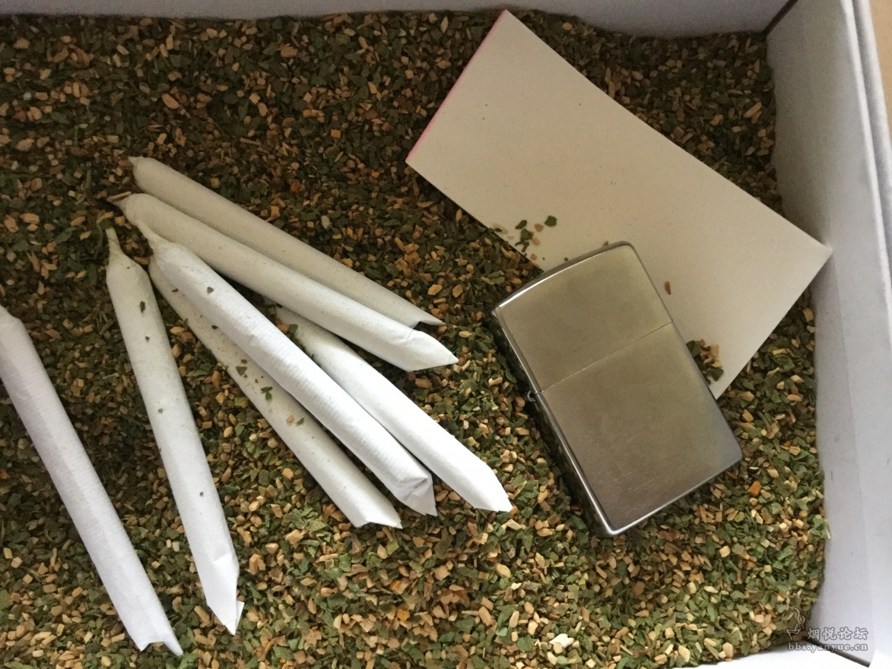 真正的新疆伊犁莫合烟
