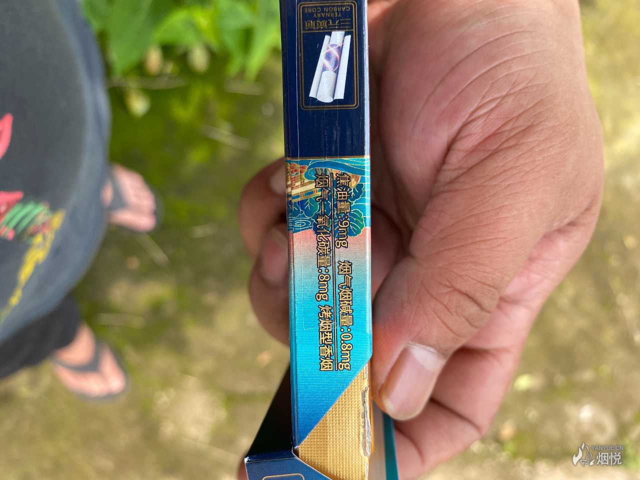 七匹狼观海中支