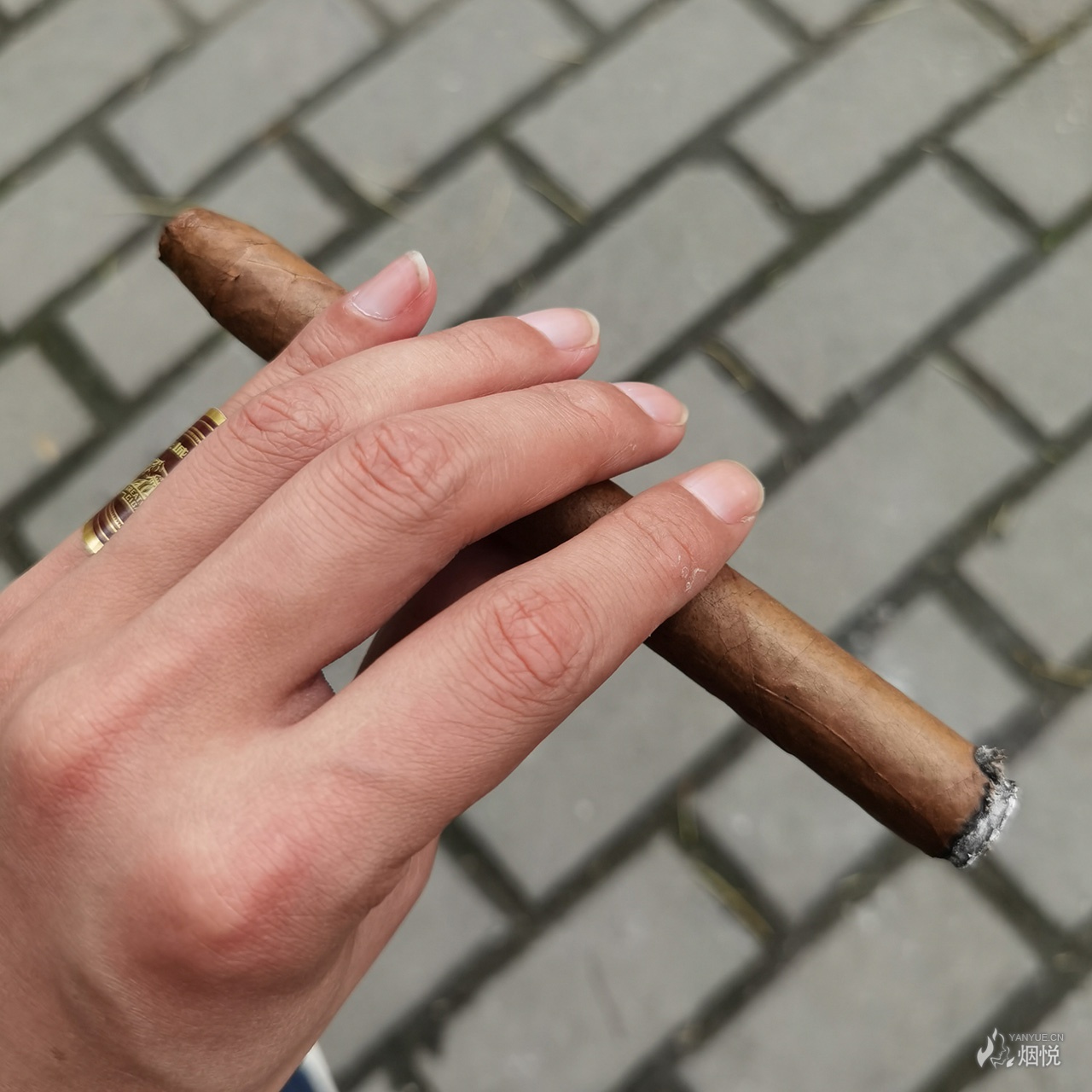 国产平价雪茄看法长城盛世5加勒比阳光1号铝管王冠双色铝管