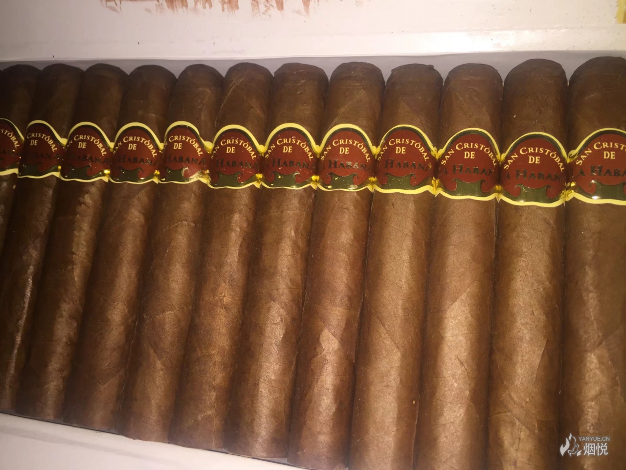 san cristobal el principe---圣克里斯托王子 - 雪茄交流 - 烟悦网