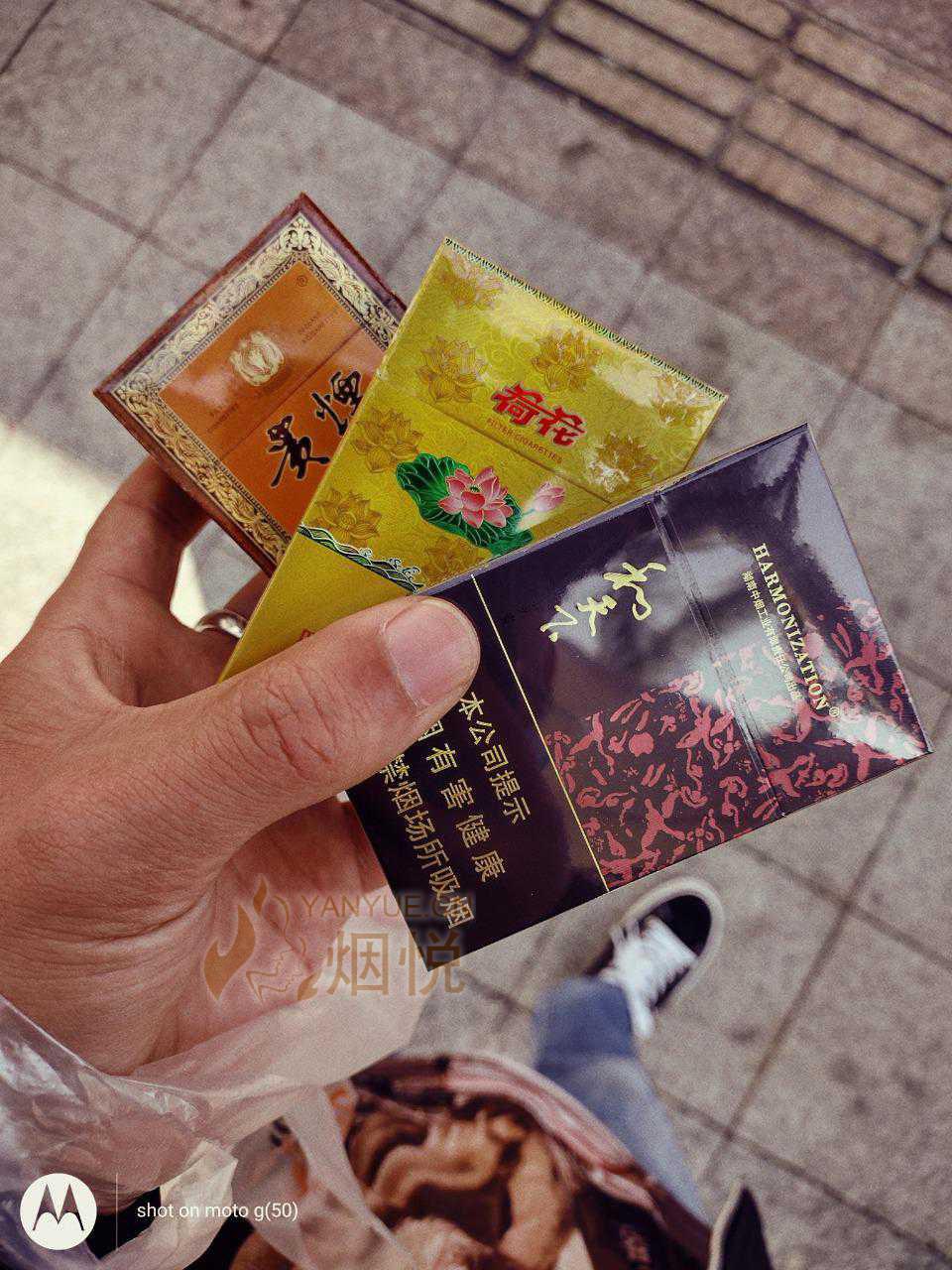 日常口粮 - 香烟漫谈 - 烟悦网论坛