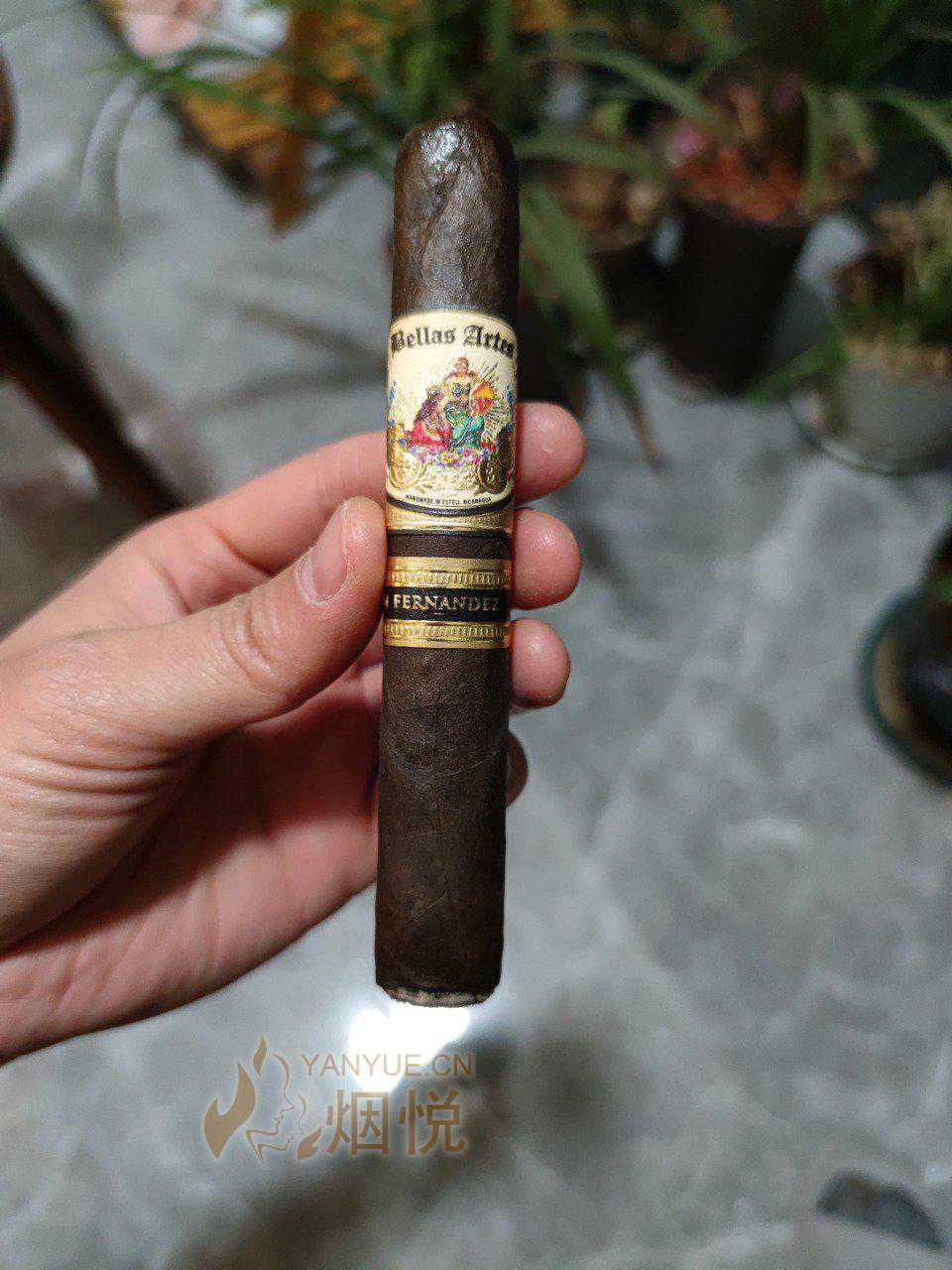 aj fernandez bellas artes maduro robusto