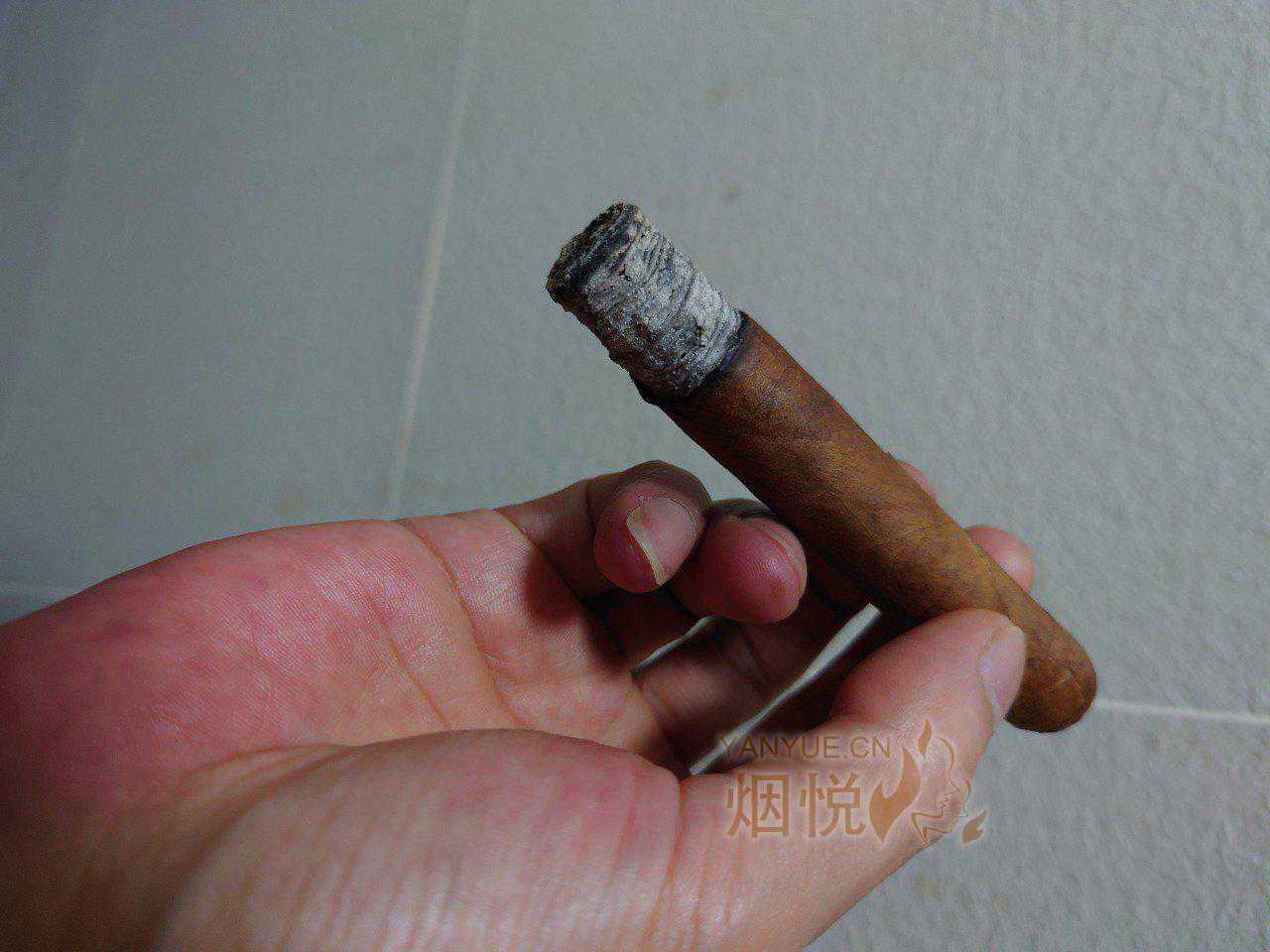 这几天上海好像还挺适合灰茄子