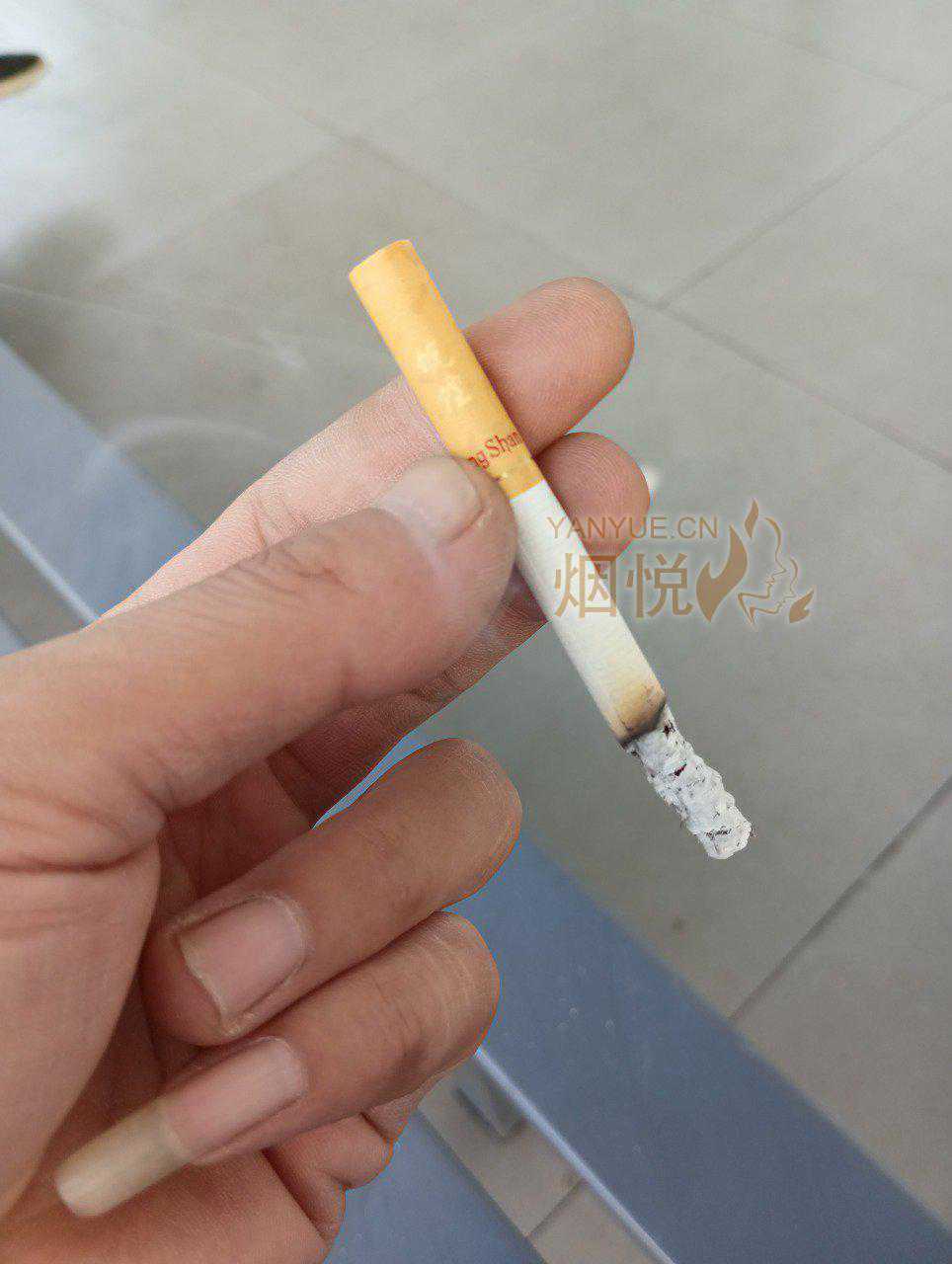 黄山普皖 - 香烟品鉴 - 烟悦网论坛