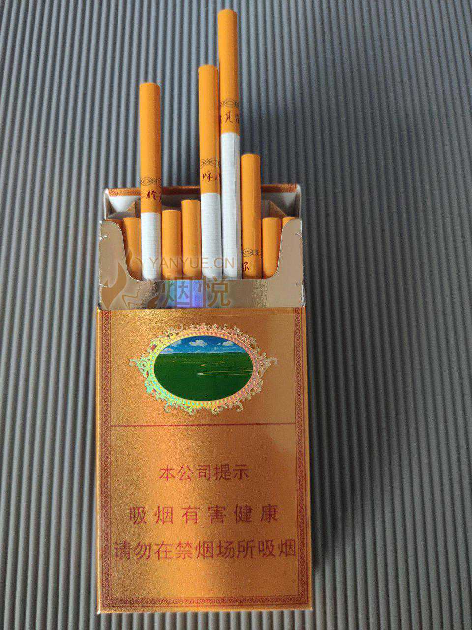 呼伦贝尔天堂草原 - 香烟漫谈 - 烟悦网论坛