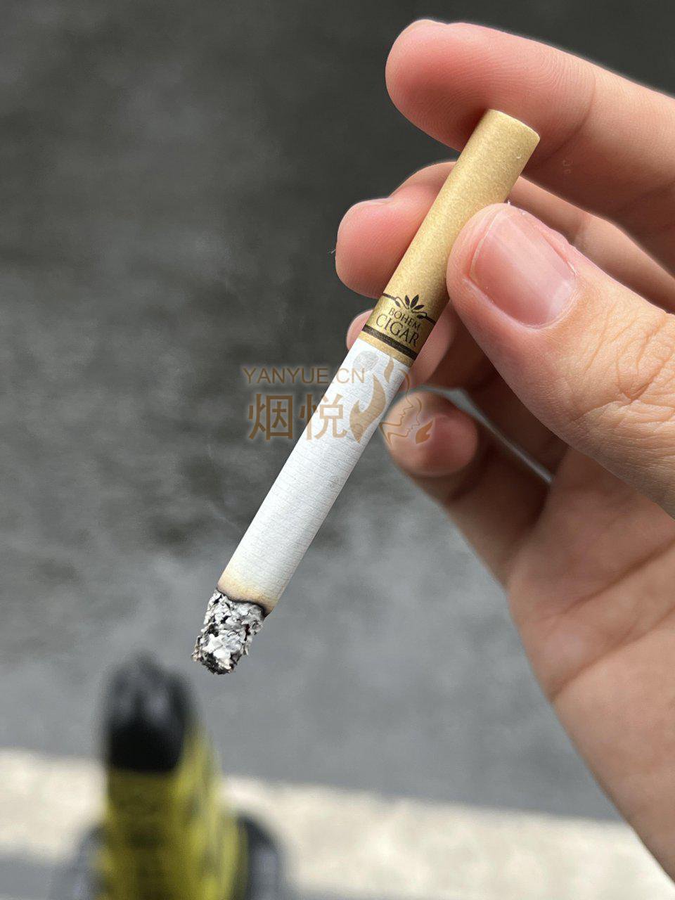 小众日税评析——宝恒BOHEM CigarNo.6 - 香烟漫谈 - 烟悦网论坛
