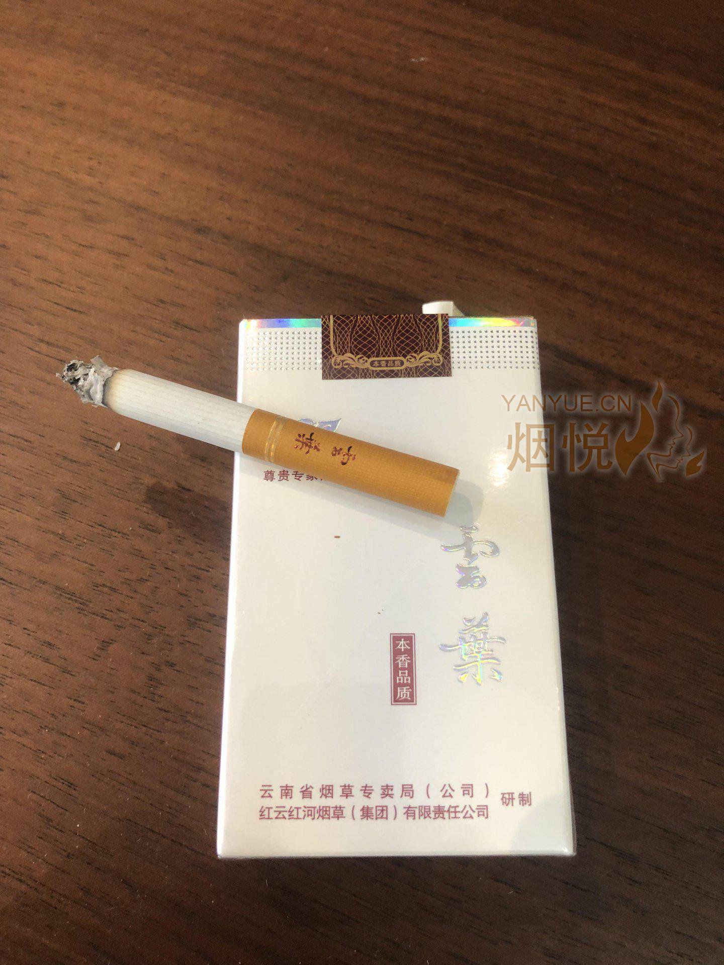 软云叶 - 香烟漫谈 - 烟悦网论坛