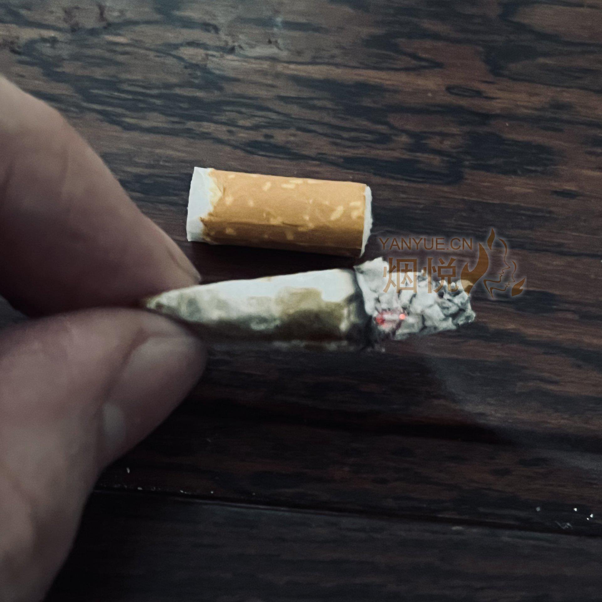 无嘴美短 - 香烟漫谈 - 烟悦网论坛