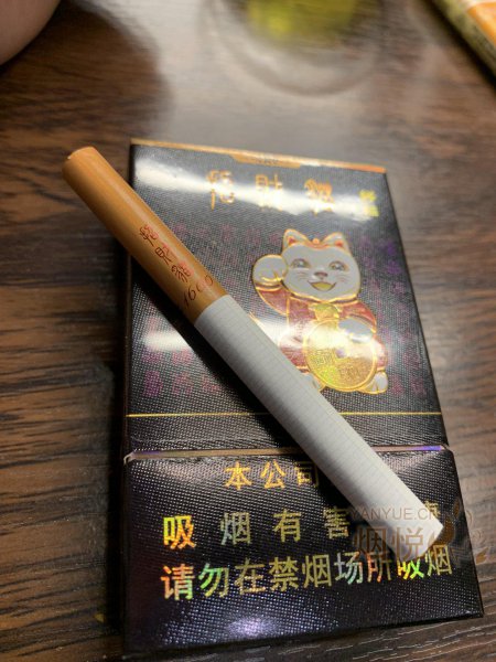 好猫招财猫1600图片