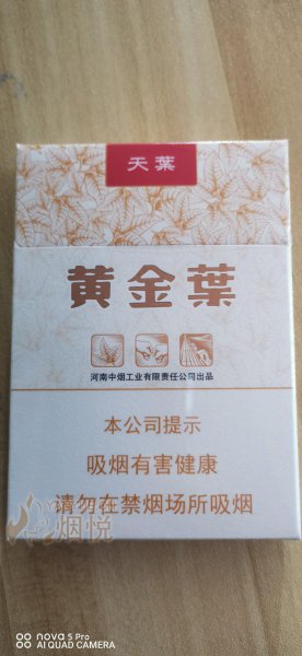 黄金叶—中支天叶。感觉没有大天叶好抽啊～也就抽个新鲜劲...[话题-烟悦网]