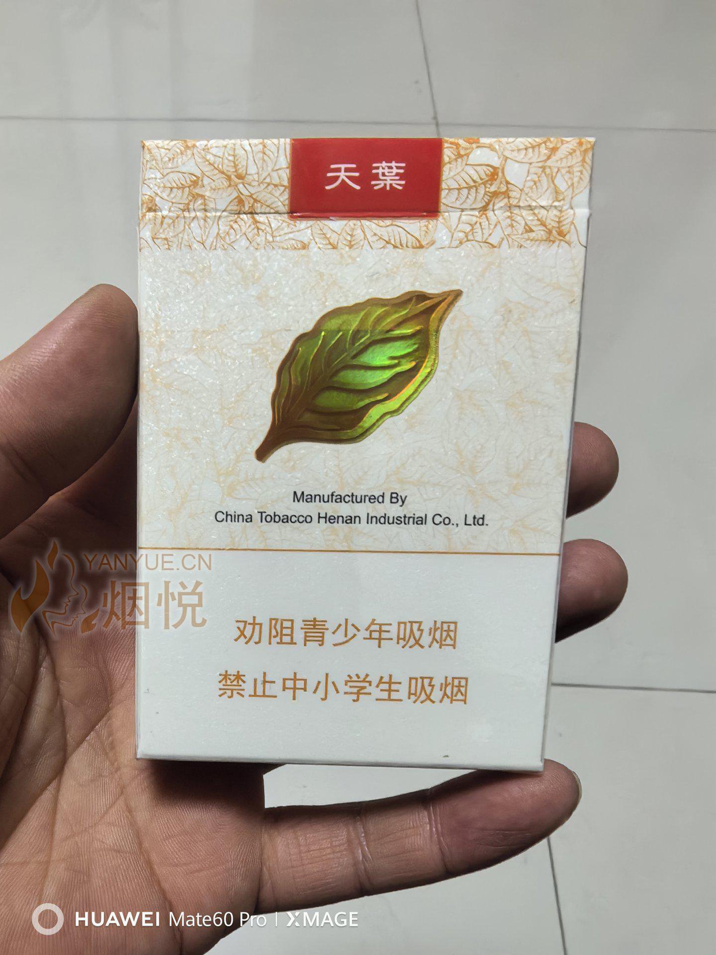 黄金叶—中支天叶 - 香烟漫谈 - 烟悦网论坛