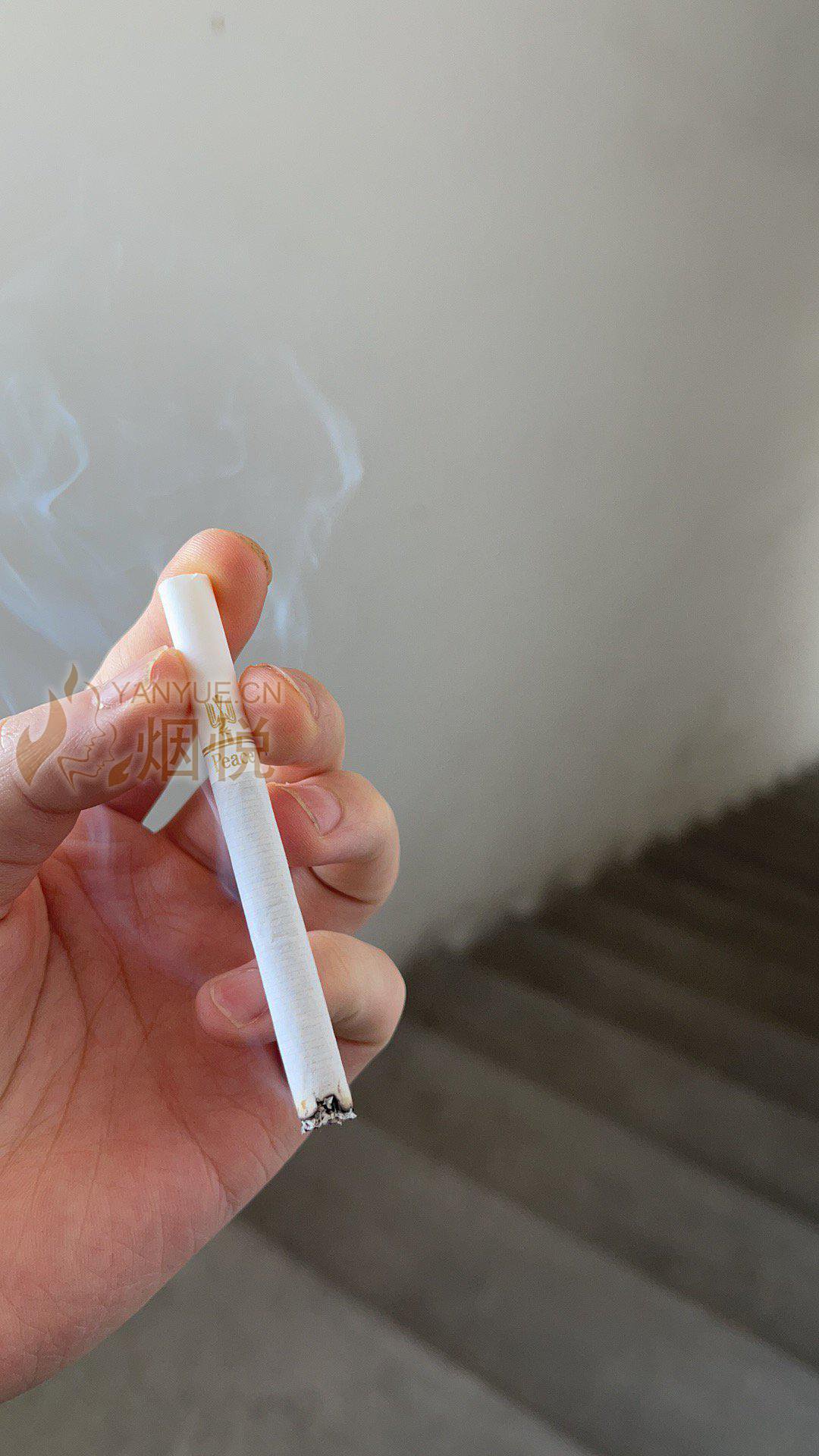 日免黄和平 - 香烟漫谈 - 烟悦网论坛
