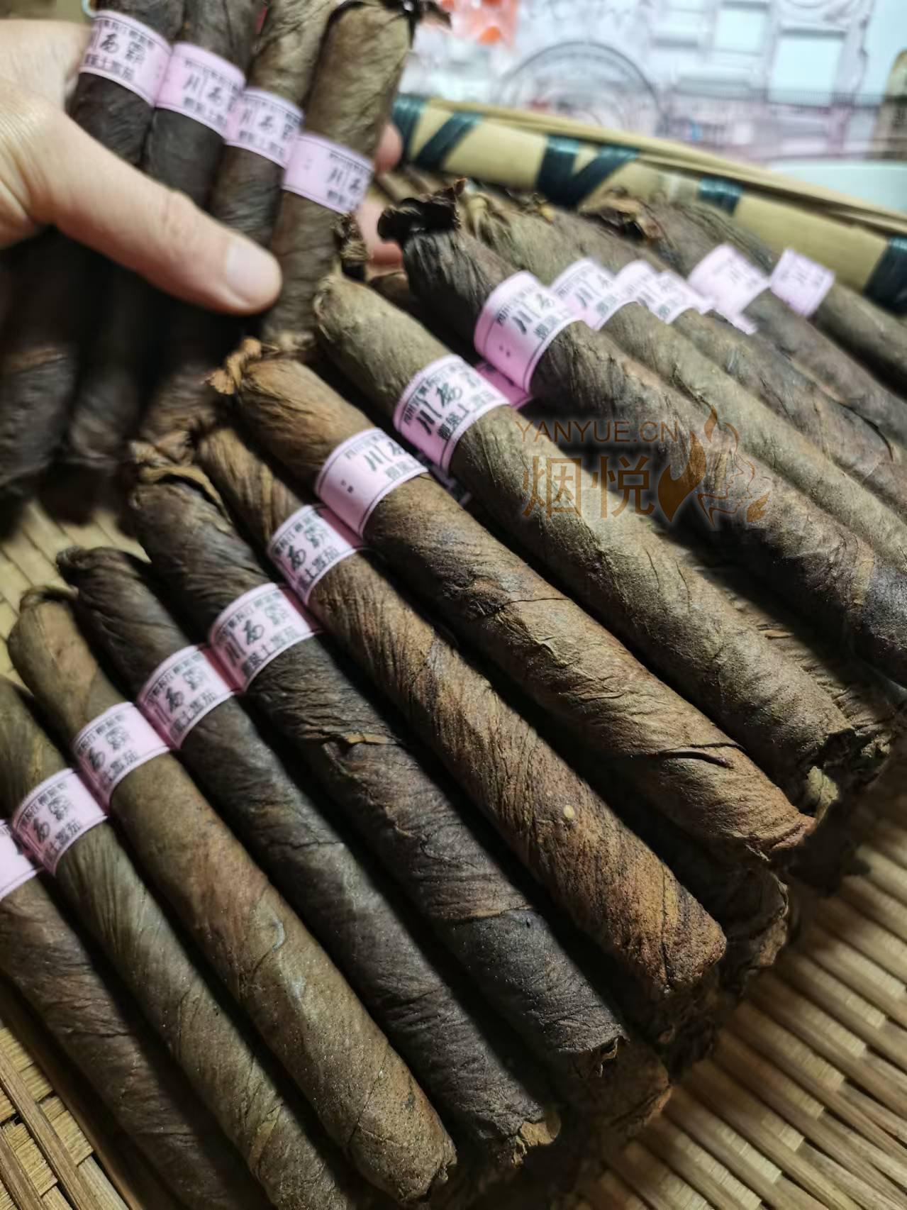 品吸传说中的川西霸,其实就是四川叶子烟哇哈哈 - 雪茄交流 - 烟悦网论坛