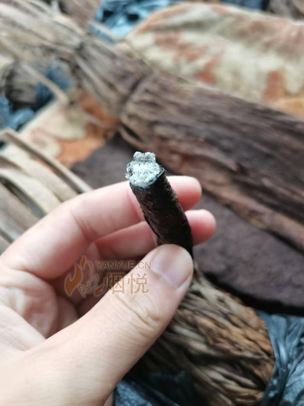品吸传说中的川西霸,其实就是四川叶子烟哇哈哈 - 雪茄交流 - 烟悦网论坛