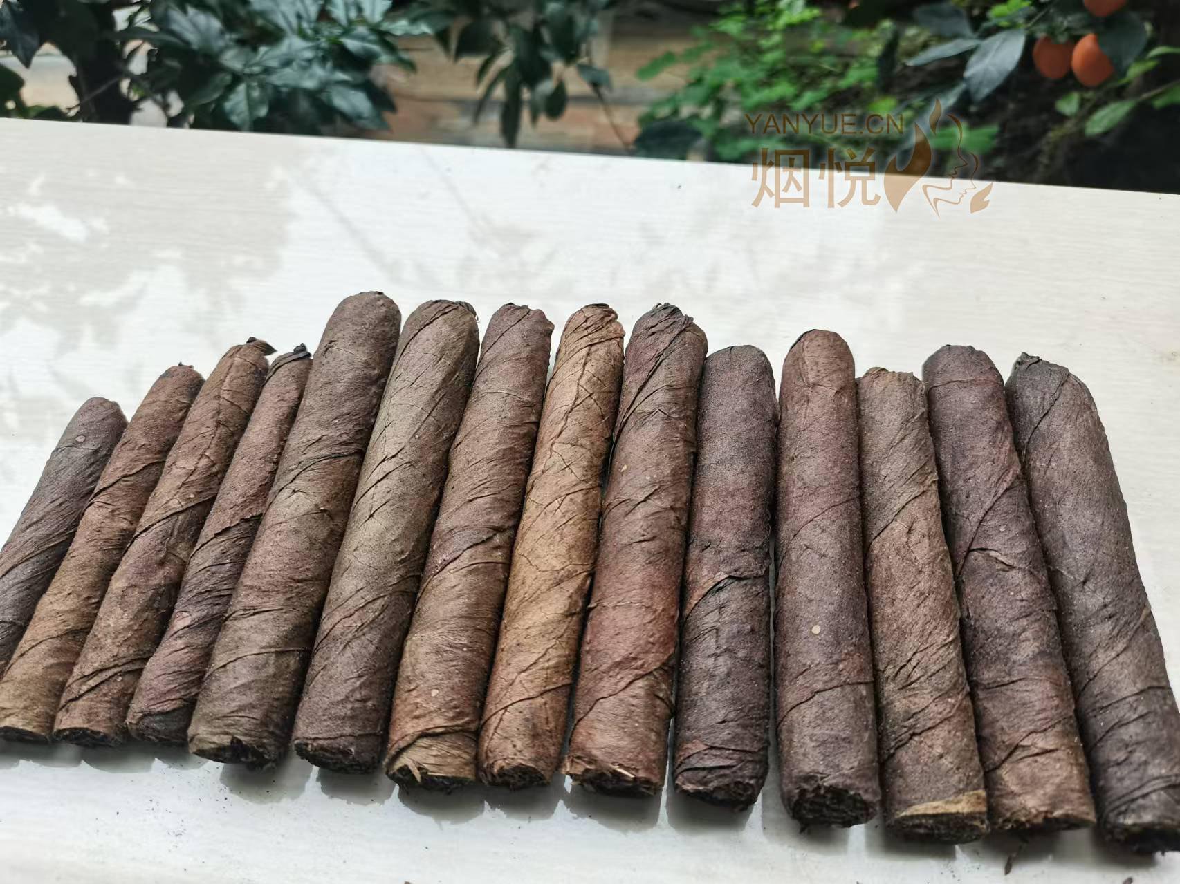 品吸传说中的川西霸,其实就是四川叶子烟哇哈哈 - 雪茄交流 - 烟悦网论坛