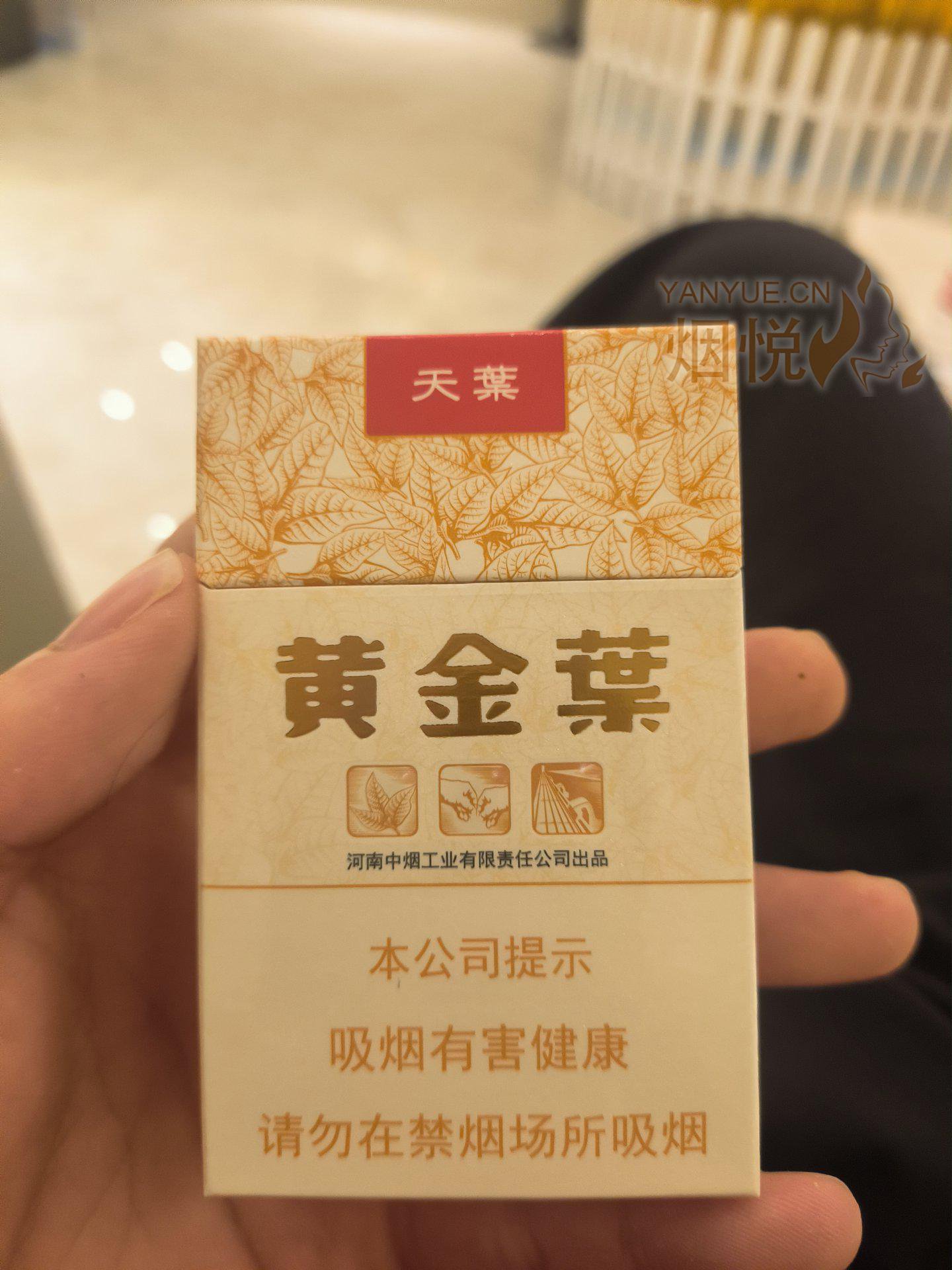 黄金叶(天叶) 教资面试看到这边一家店只卖9... - 香烟漫谈 - 烟悦网论坛