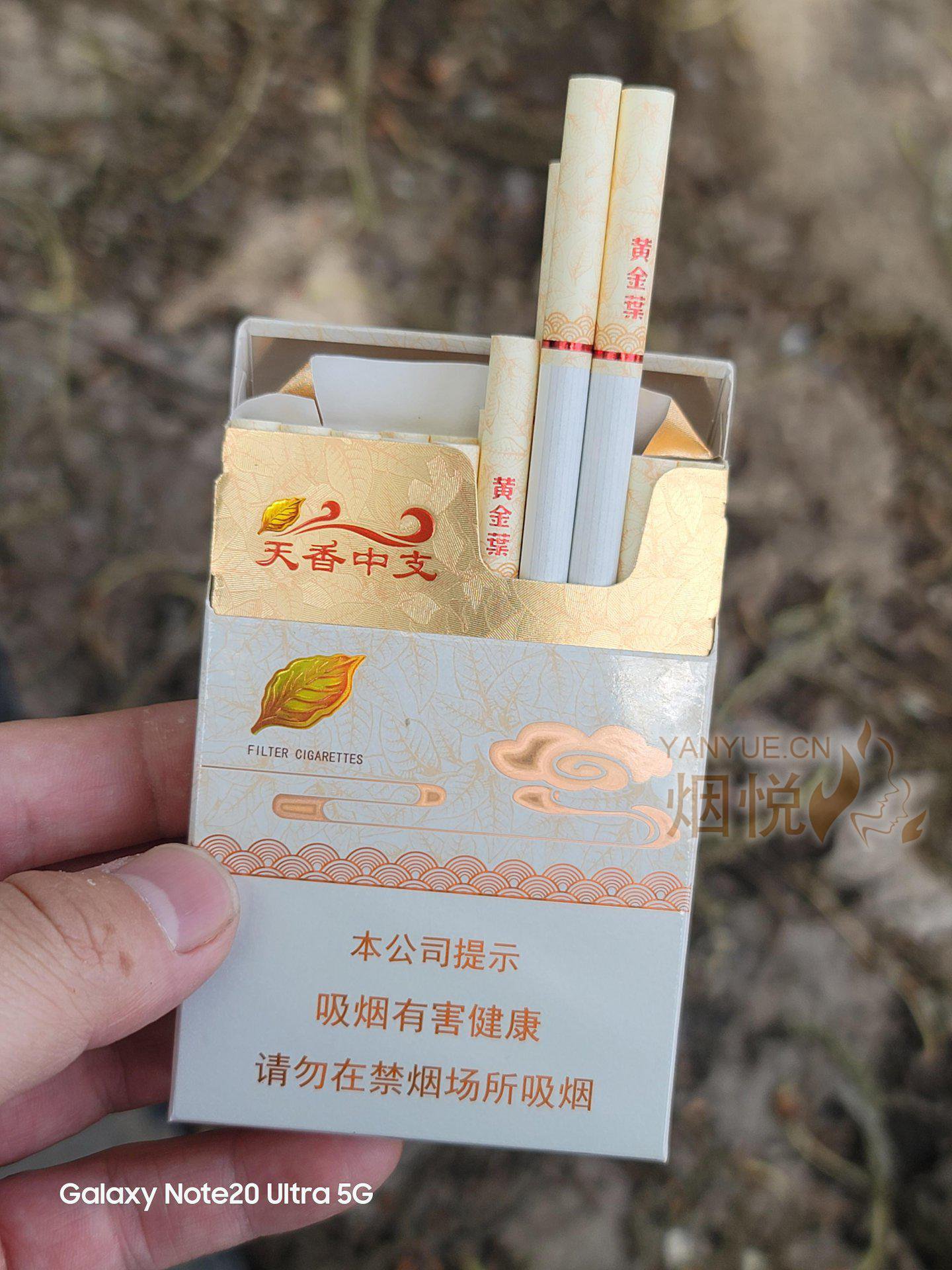 黄金 叶 中 支 价格 (99) 사진