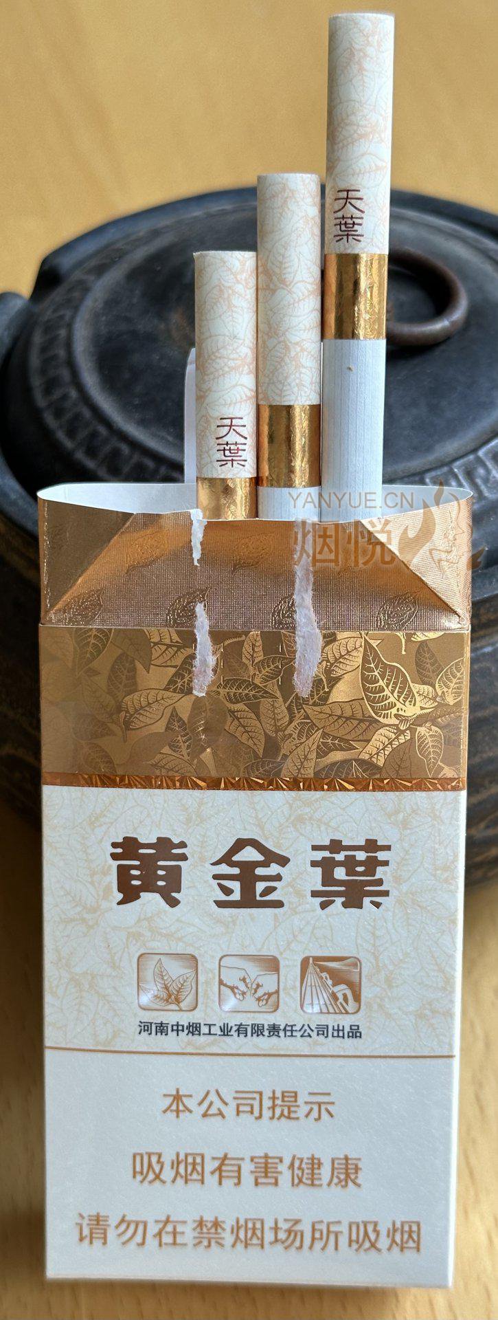 软硬天叶 - 香烟漫谈 - 烟悦网论坛
