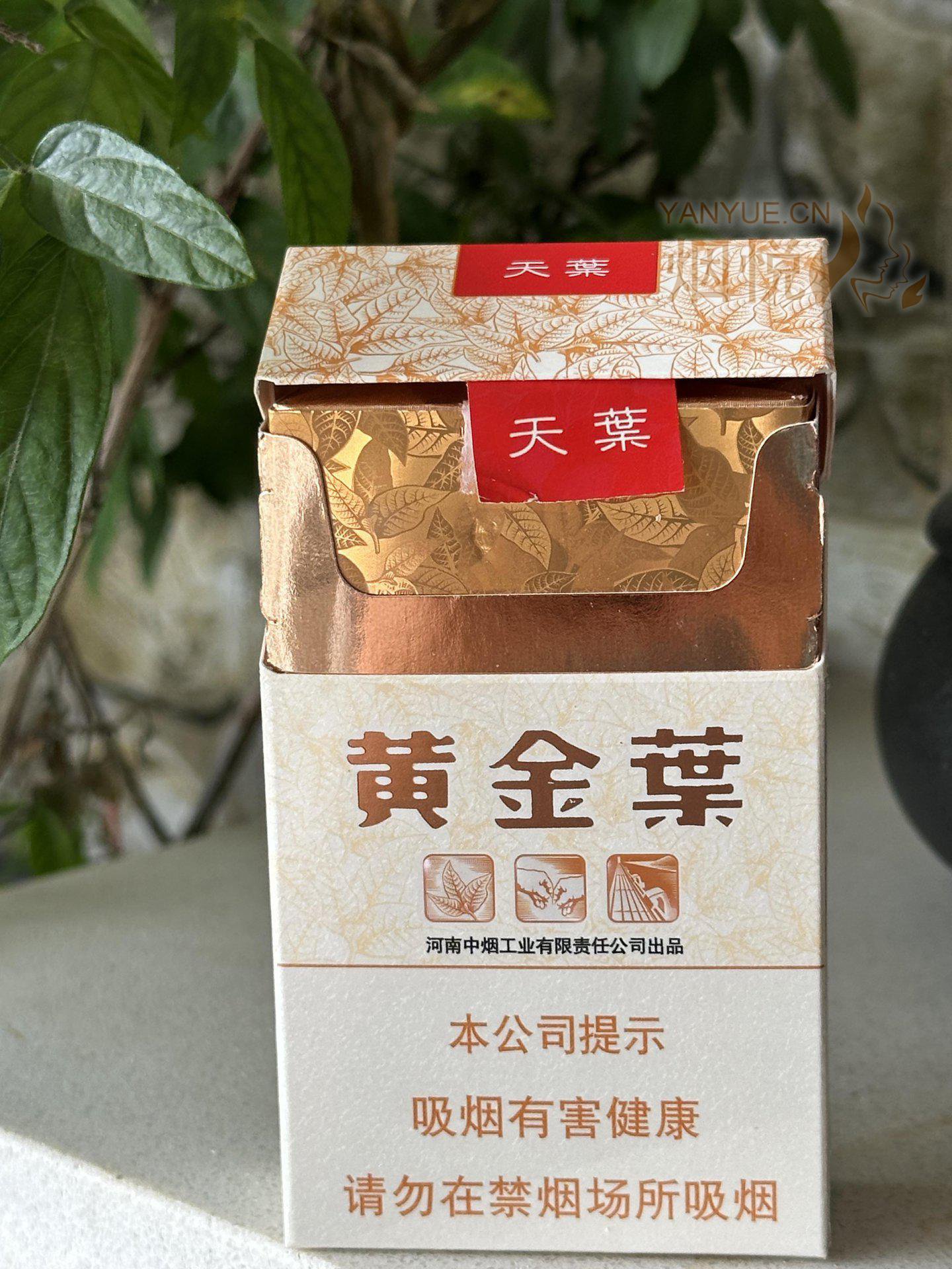 软硬天叶 - 香烟漫谈 - 烟悦网论坛