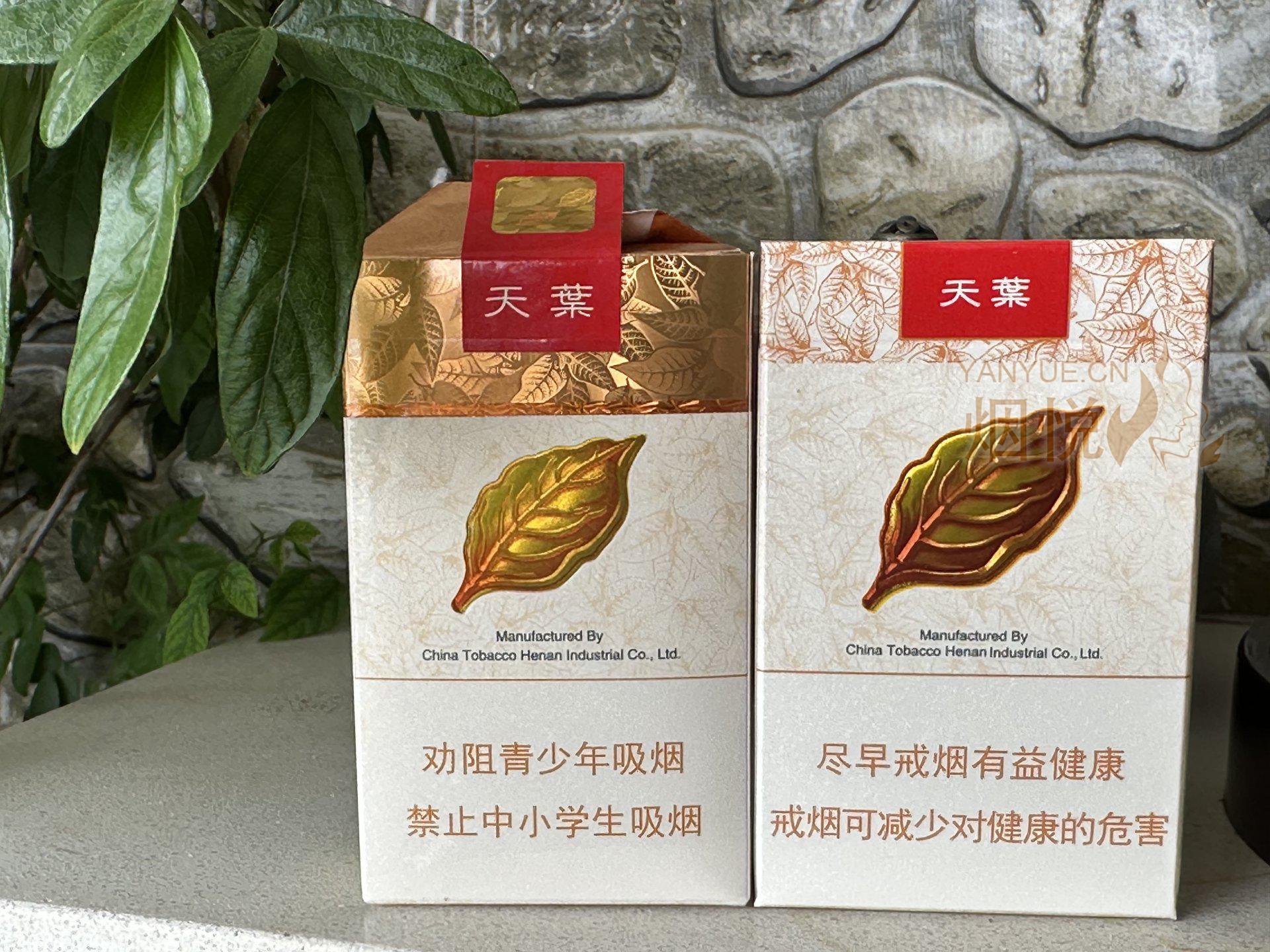 软硬天叶 - 香烟漫谈 - 烟悦网论坛