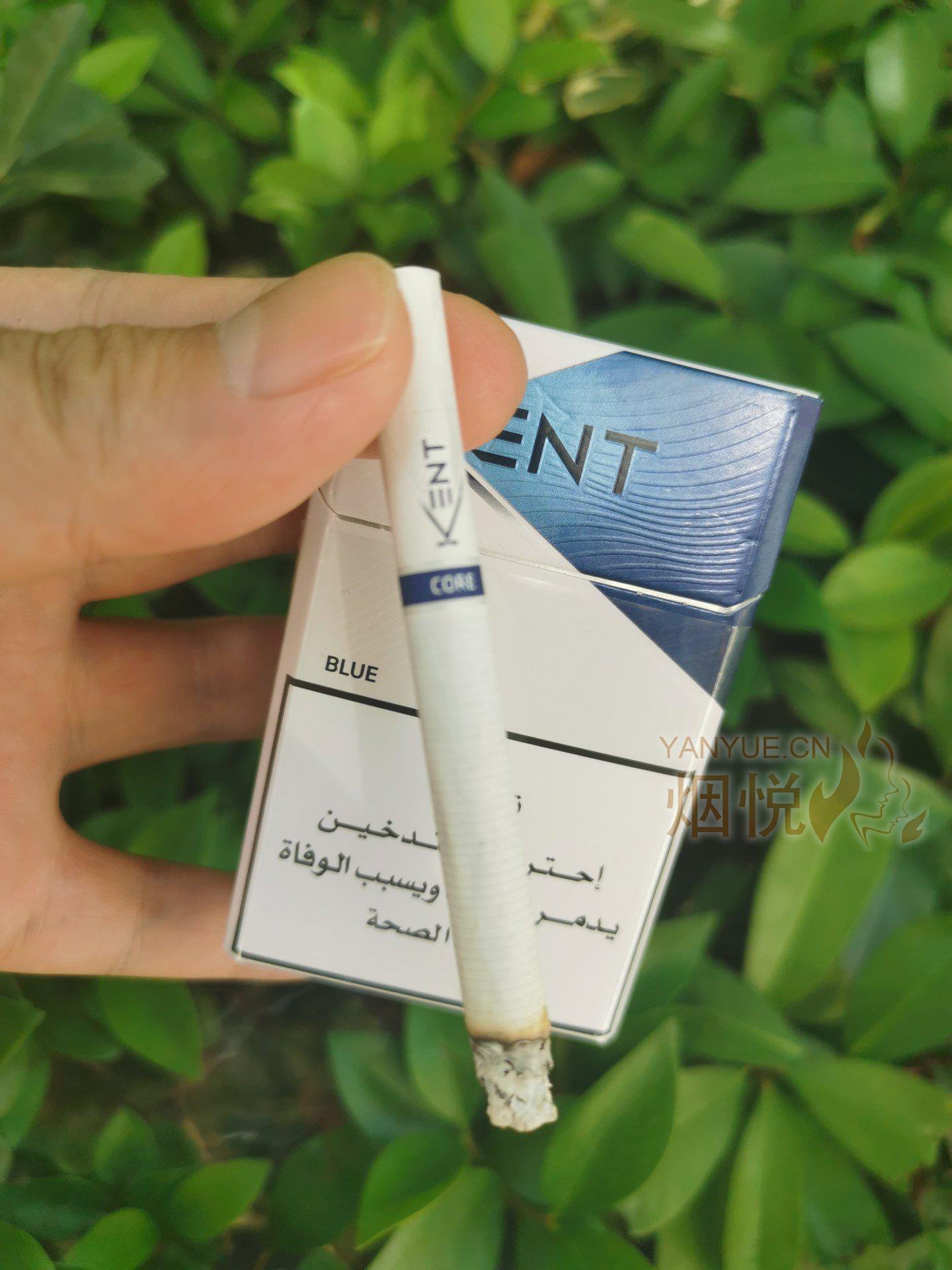 how cigarette smoking affects the respiratory system Smoker's lungs vs. healthy lungs: Facts, pictures, and more