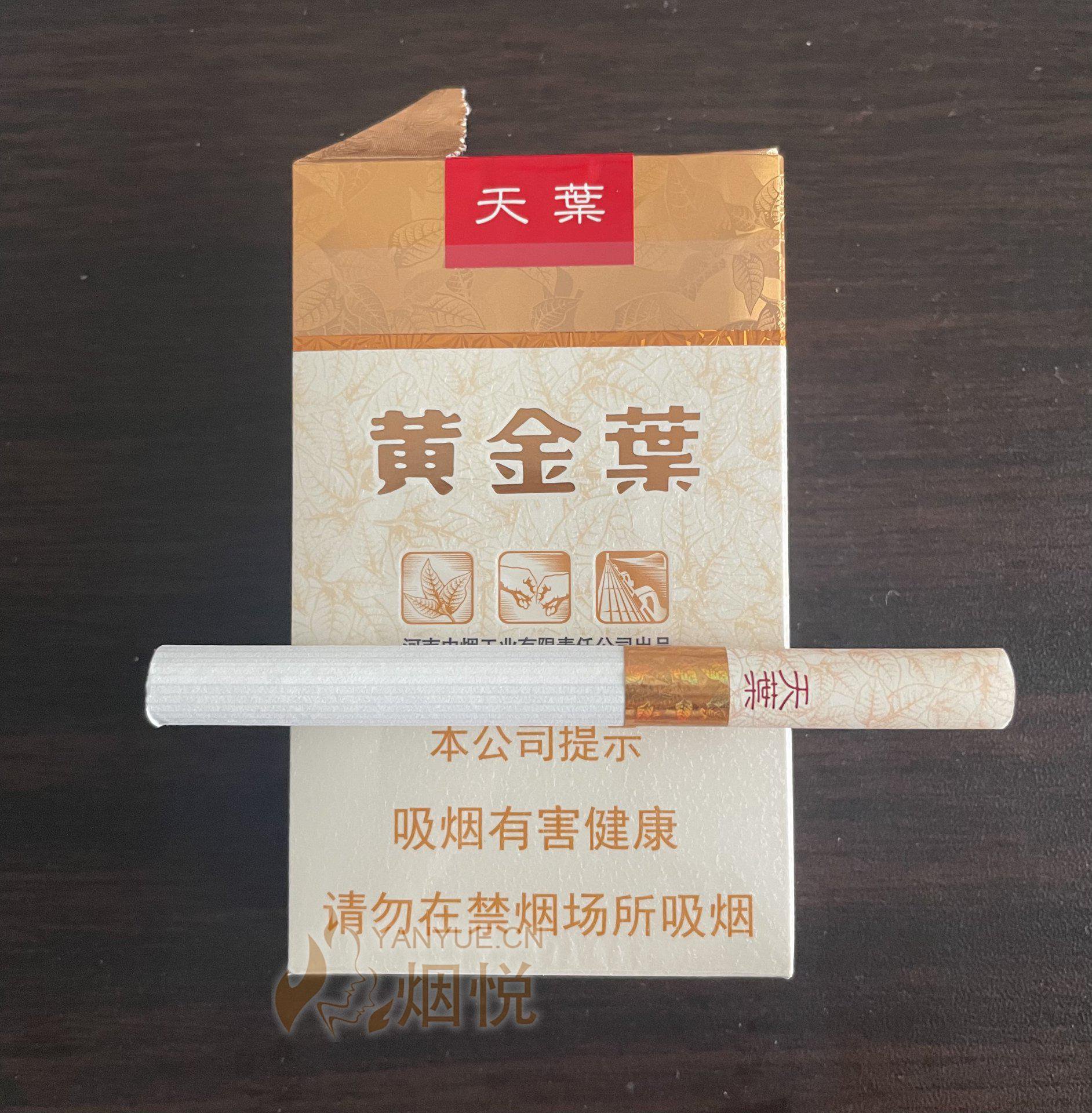 软天叶 - 香烟漫谈 - 烟悦网论坛