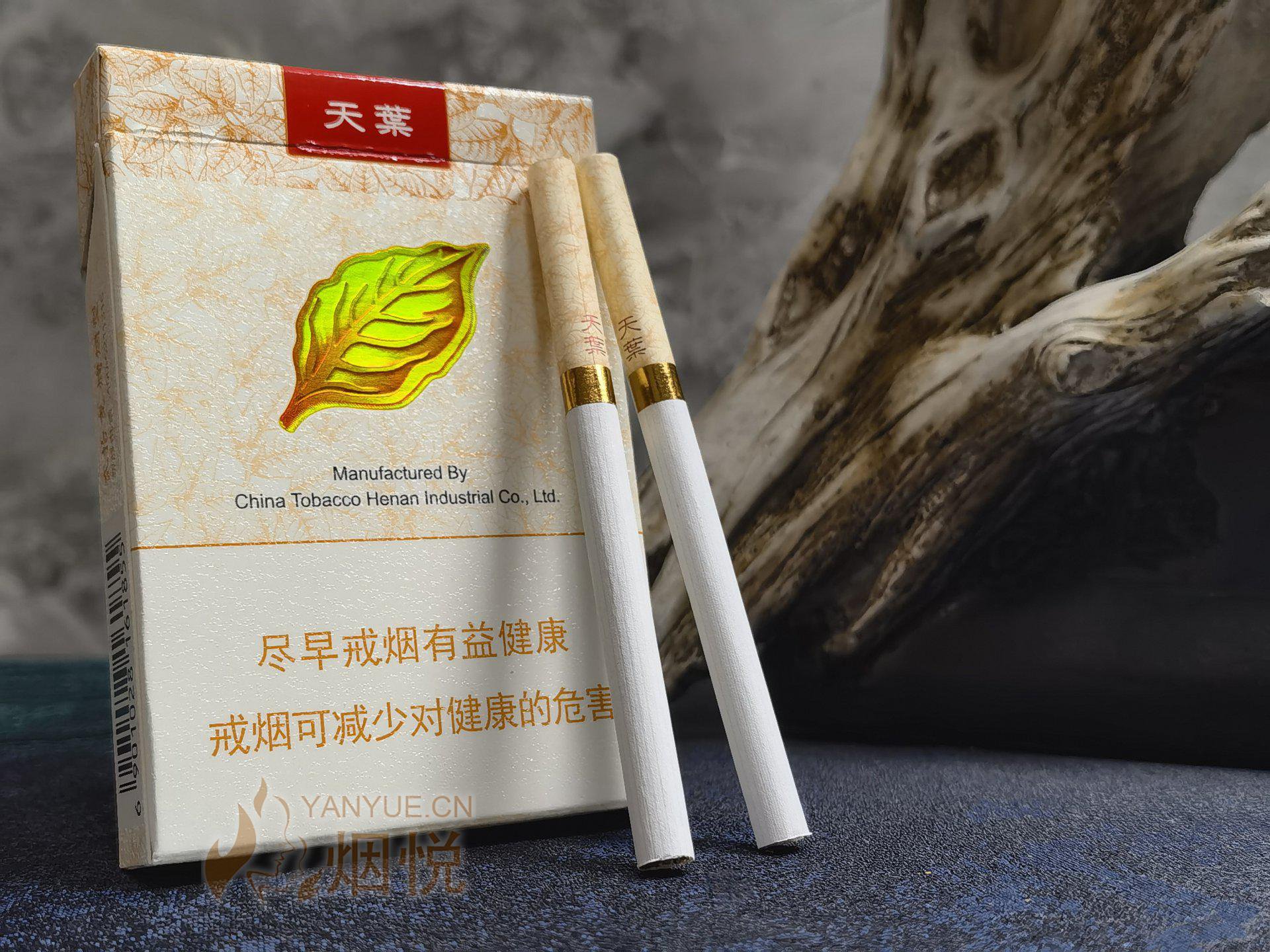 大天叶——中支 - 香烟漫谈 - 烟悦网论坛
