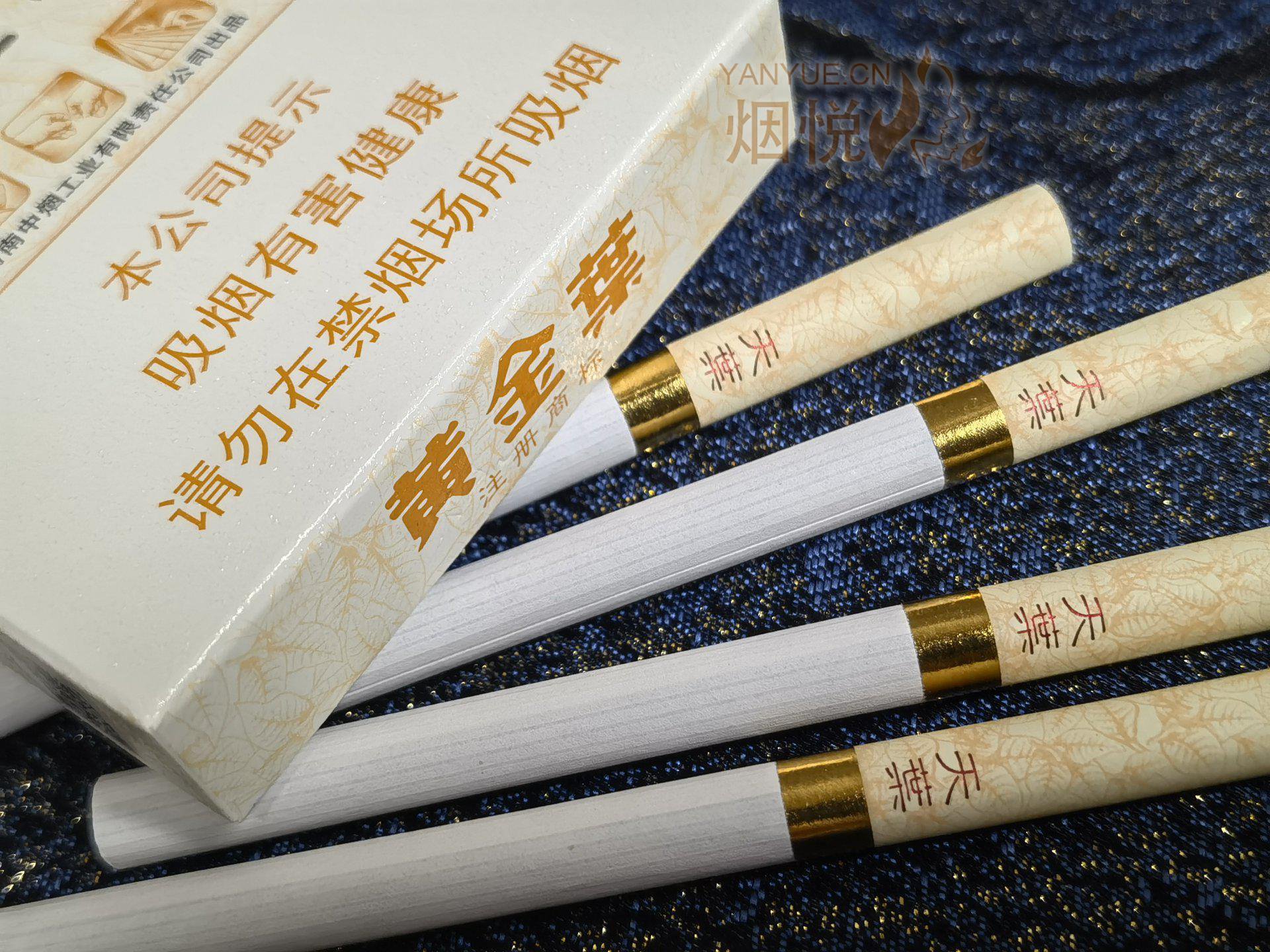 大天叶——中支 - 香烟漫谈 - 烟悦网论坛