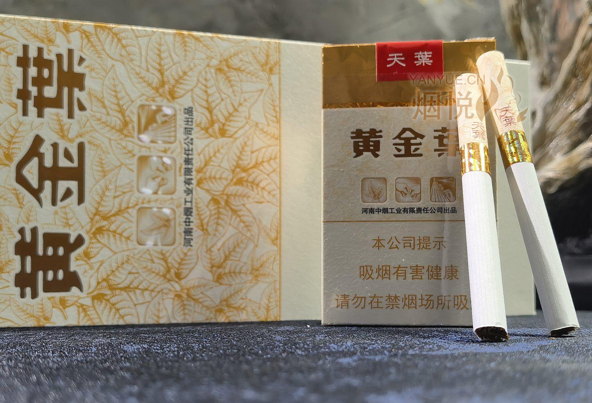 大天叶——软天叶 - 香烟漫谈 - 烟悦网论坛