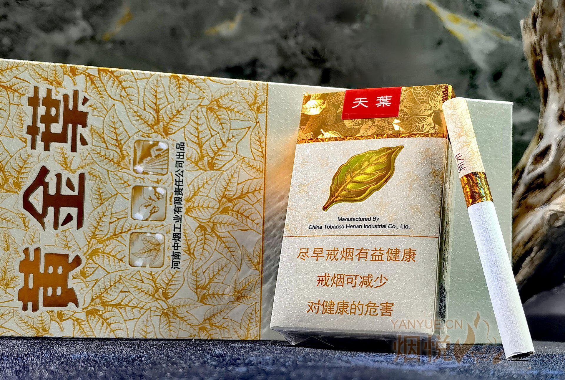 大天叶——软天叶 - 香烟漫谈 - 烟悦网论坛