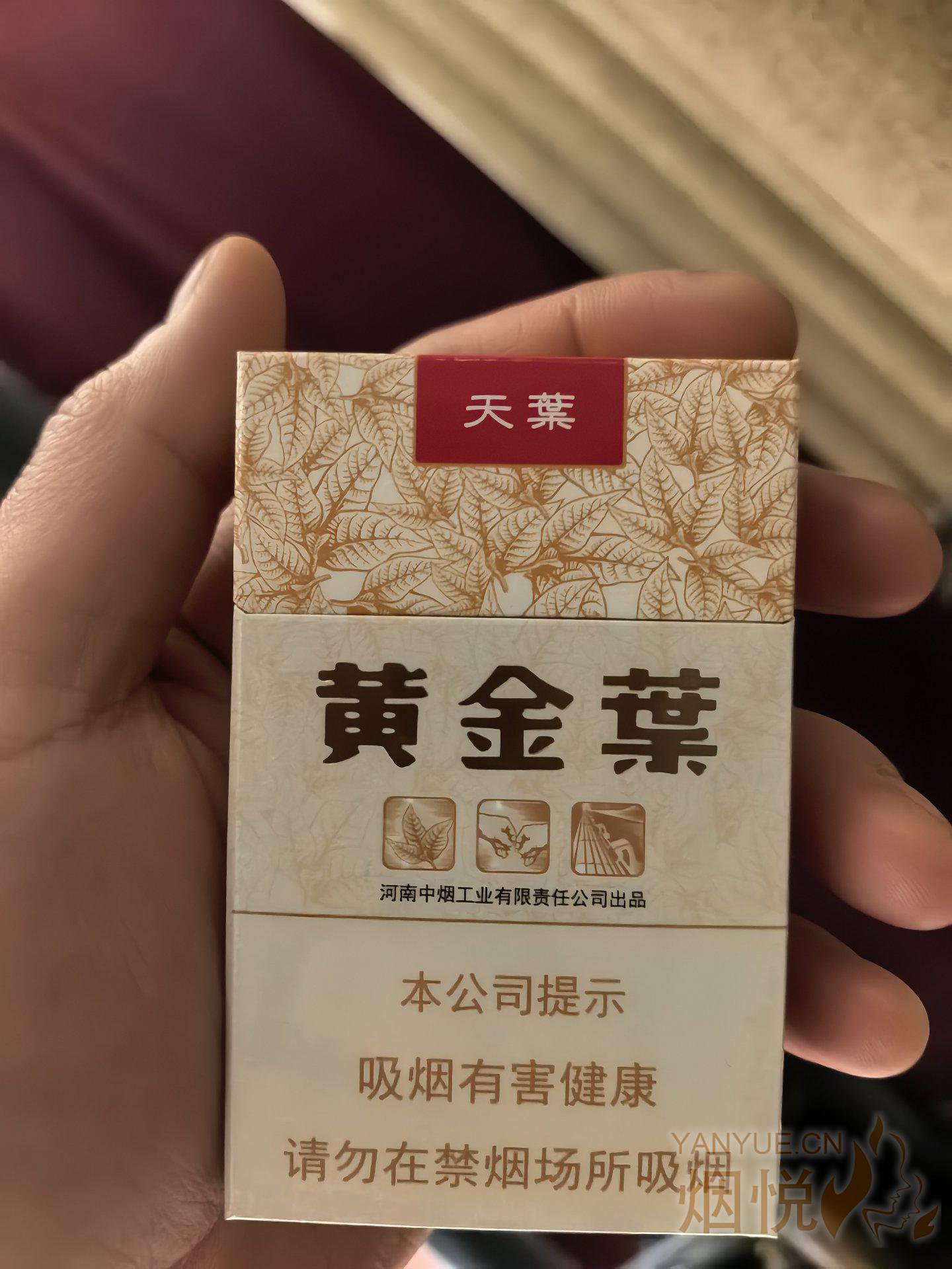 黄金叶(天叶) 百元党口感标杆产品,浓香烟... - 香烟漫谈 - 烟悦网论坛