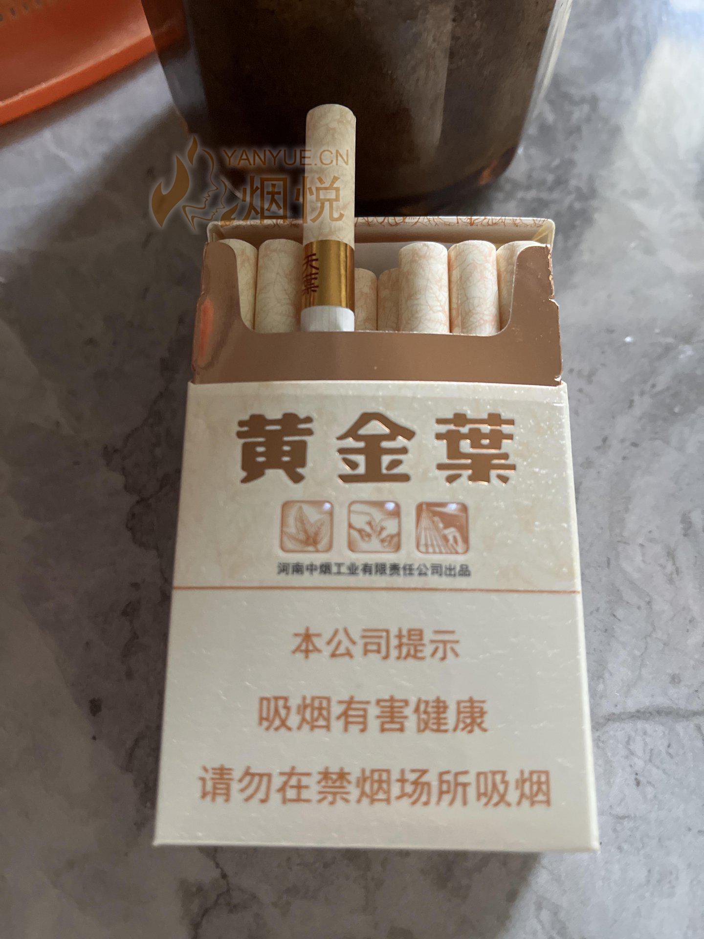 黄金叶 - 香烟漫谈 - 烟悦网论坛